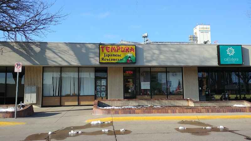 Photo of Tempura | Japanese Restaurant 1